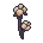 Kotton icon Probably Stolen