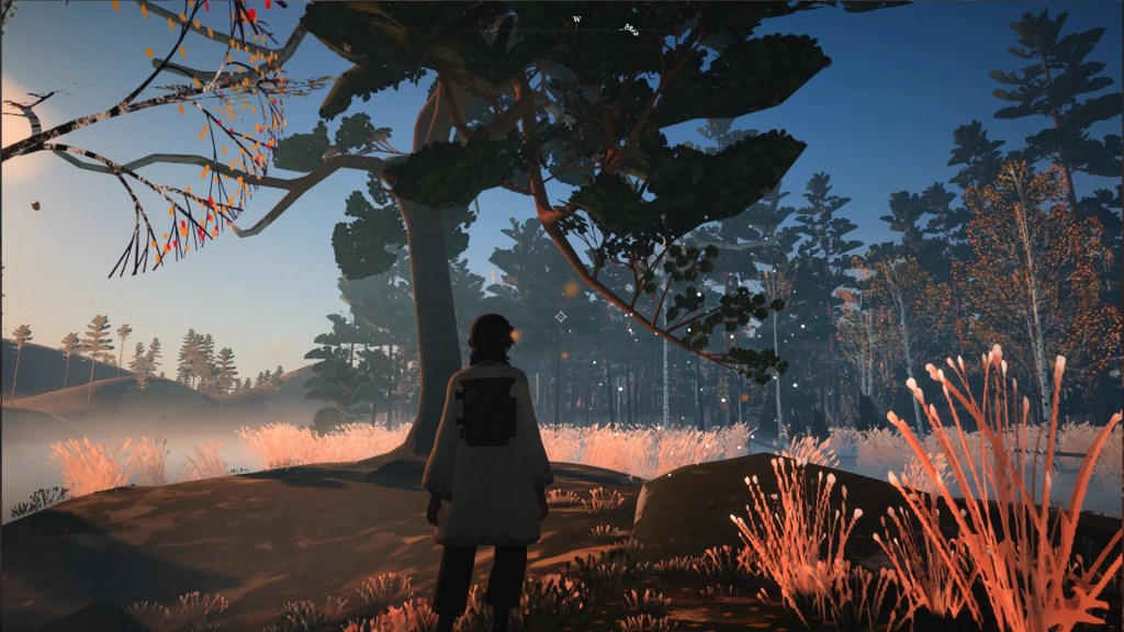 Pine Branch Location REKA